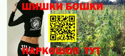 прущие крисы Мариинск