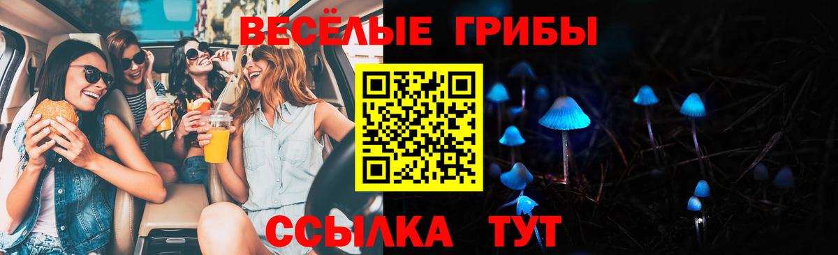 Будённовск  Псилоцибиновые грибы мухоморы  Вход с VPN 